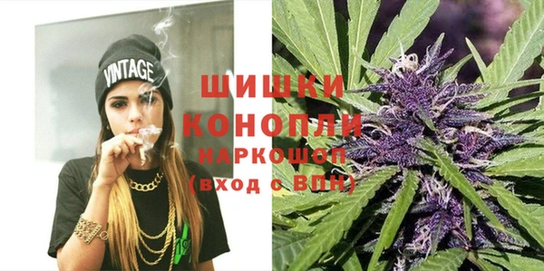молекула духа Дмитриев