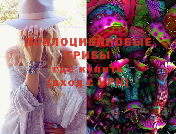 молекула духа Дмитриев