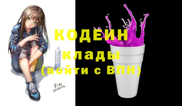молекула духа Дмитриев