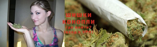 ECSTASY Гусев