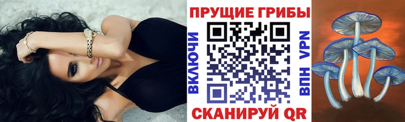 Псилоцибиновые грибы MAGIC MUSHROOMS  Купить закладки  Оханск 